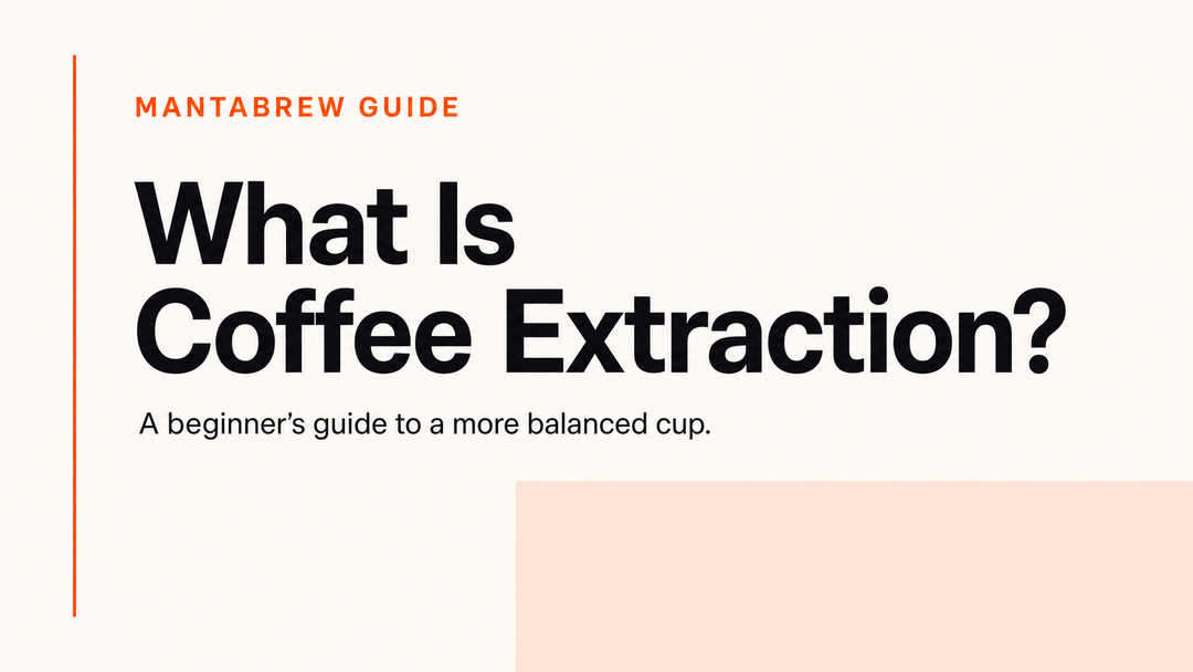 What Is Coffee Extraction? The Beginner’s Guide to Better Brewing MANTABREW