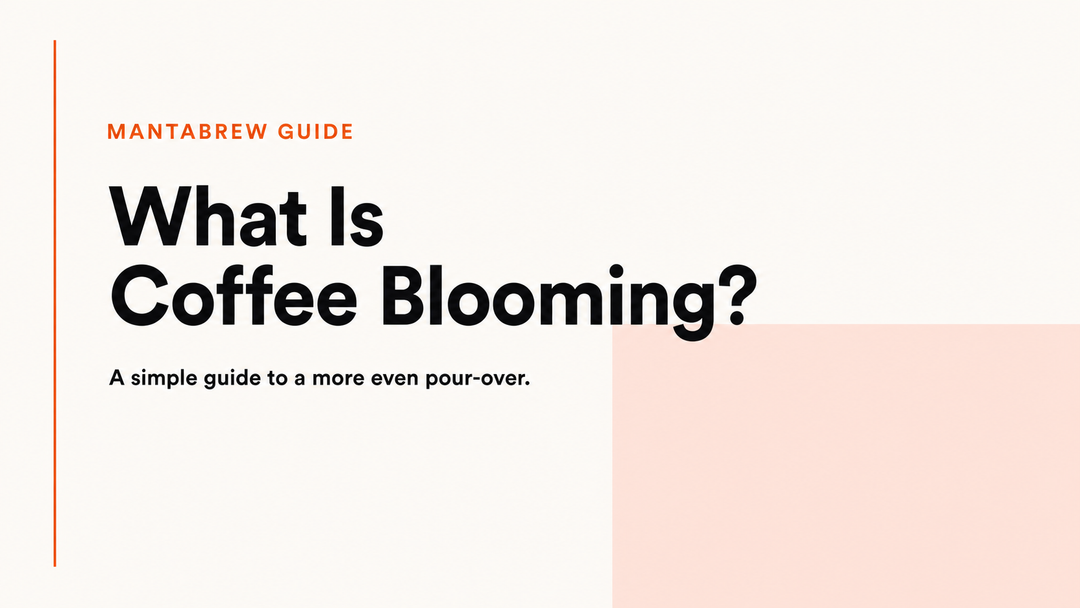 What Is Coffee Blooming? A Simple Guide for Better Pour-Over MANTABREW