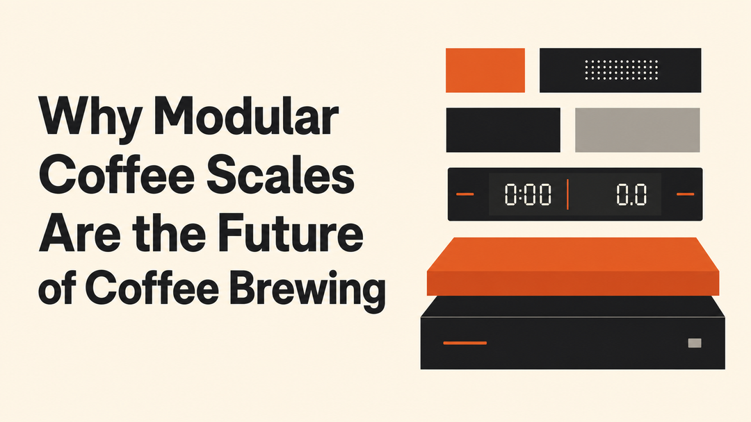 Why Modular Coffee Scales Are the Future of Coffee Brewing MANTABREW